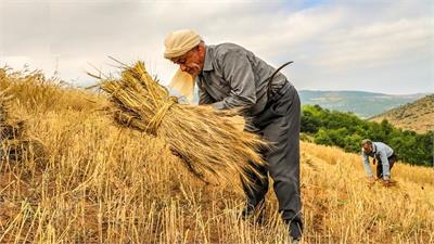 نیاز کشاورزی ایران به سرمایه‌گذاری