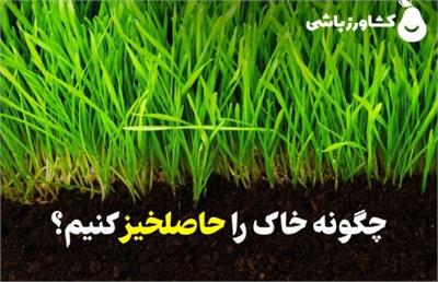 چگونه خاک را حاصلخیز کنیم؟ راهنمای جامع برای کشاورزان