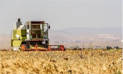 ۲۹ همت از مطالبات گندمکاران پرداخت شد