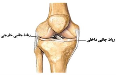 با دکتر ارتوپد بهترین مشاور برای درمان تخصصی بیماری‌های زانوی خود را پیدا کنید